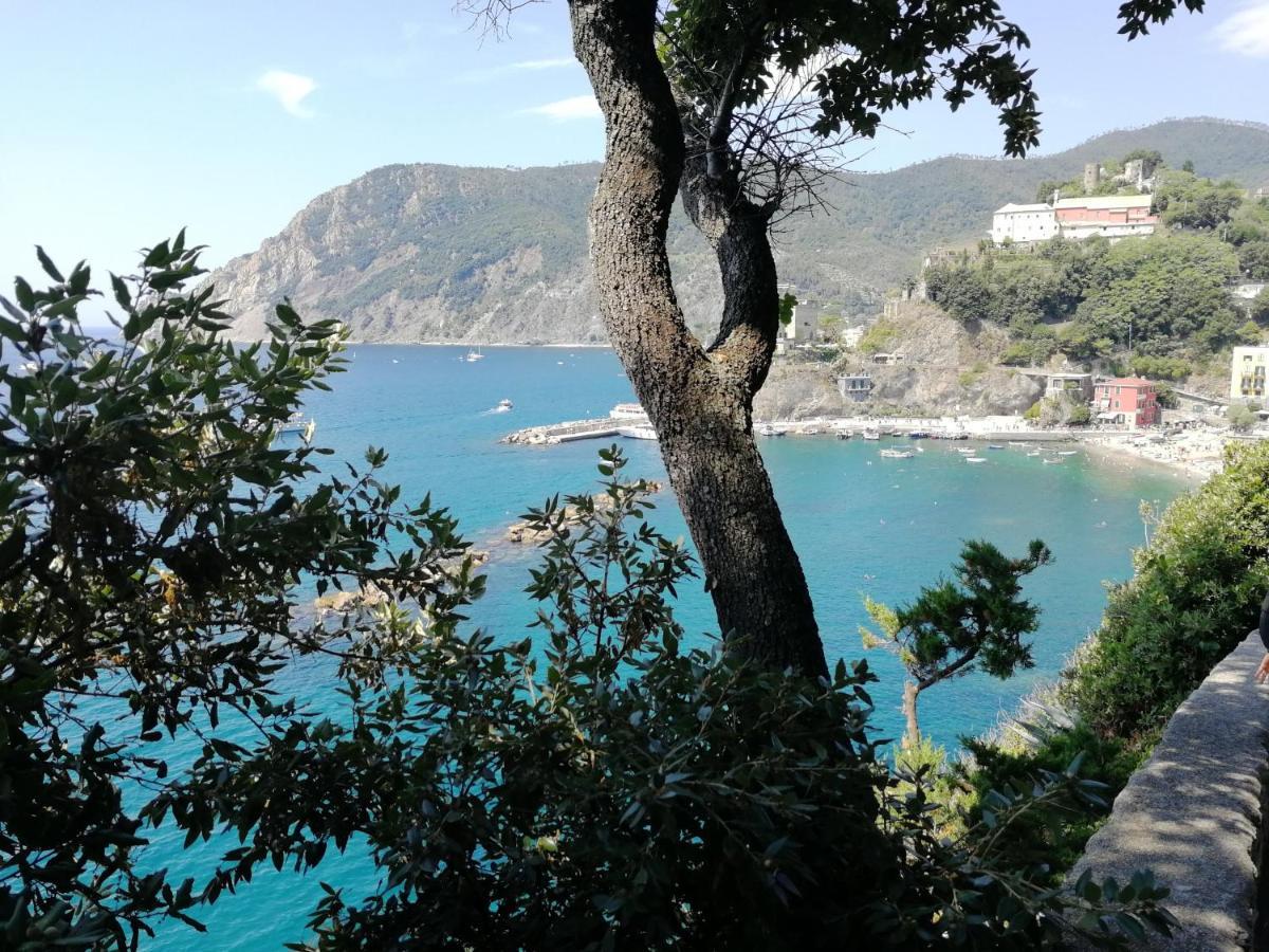 La Terrazza Sul Mare ☆☆☆☆☆ Monterosso Lägenhet Monterosso al Mare Exteriör bild